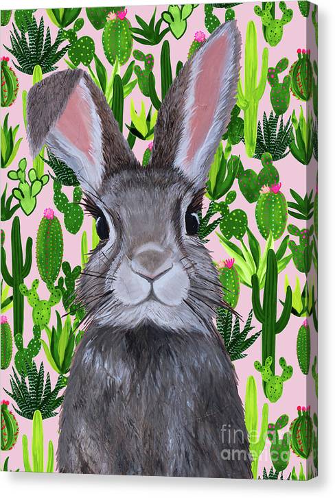 Cacti Cotton Tail  - Canvas Print