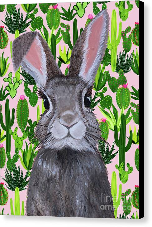 Cacti Cotton Tail  - Canvas Print
