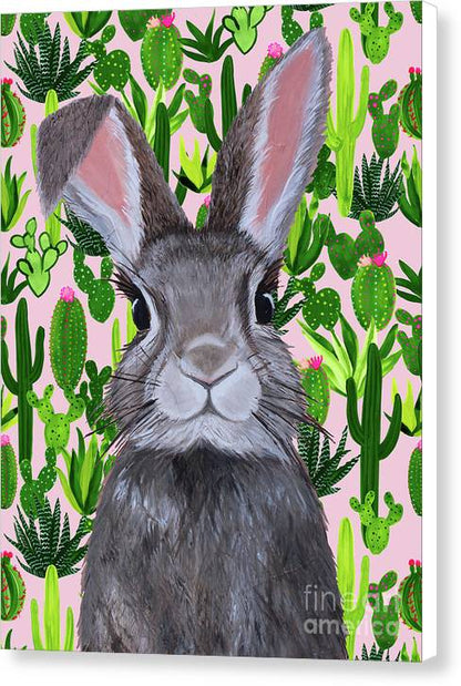 Cacti Cotton Tail  - Canvas Print