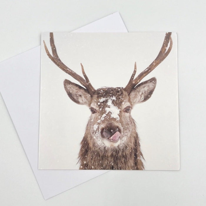 Deer Tongue Greeting Card - pack of 6