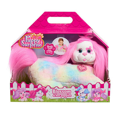 Puppy Surprise Plush Toy