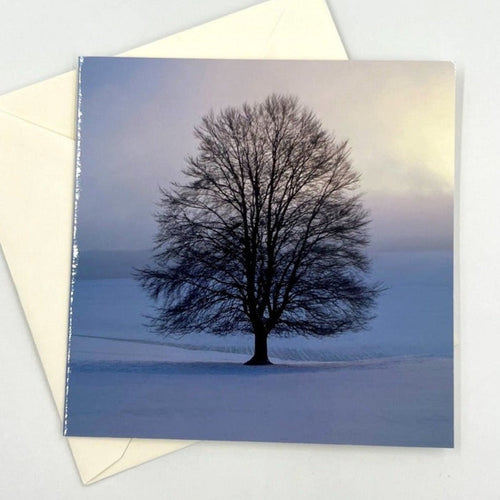 Winter Tree Greeting Card - pack of 6